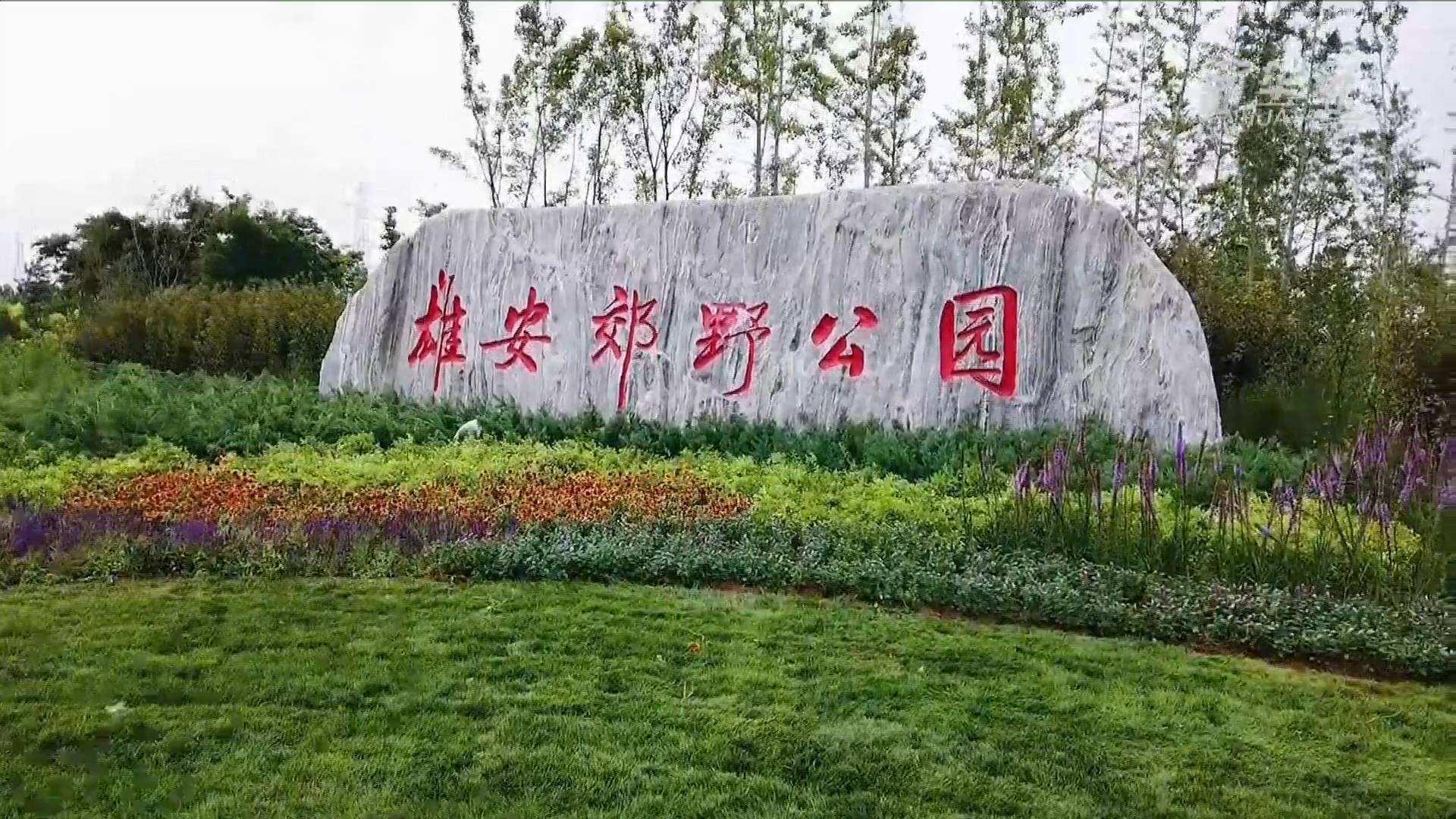 微扑克官网电气雄安郊外公园建设工程及配套设施项目